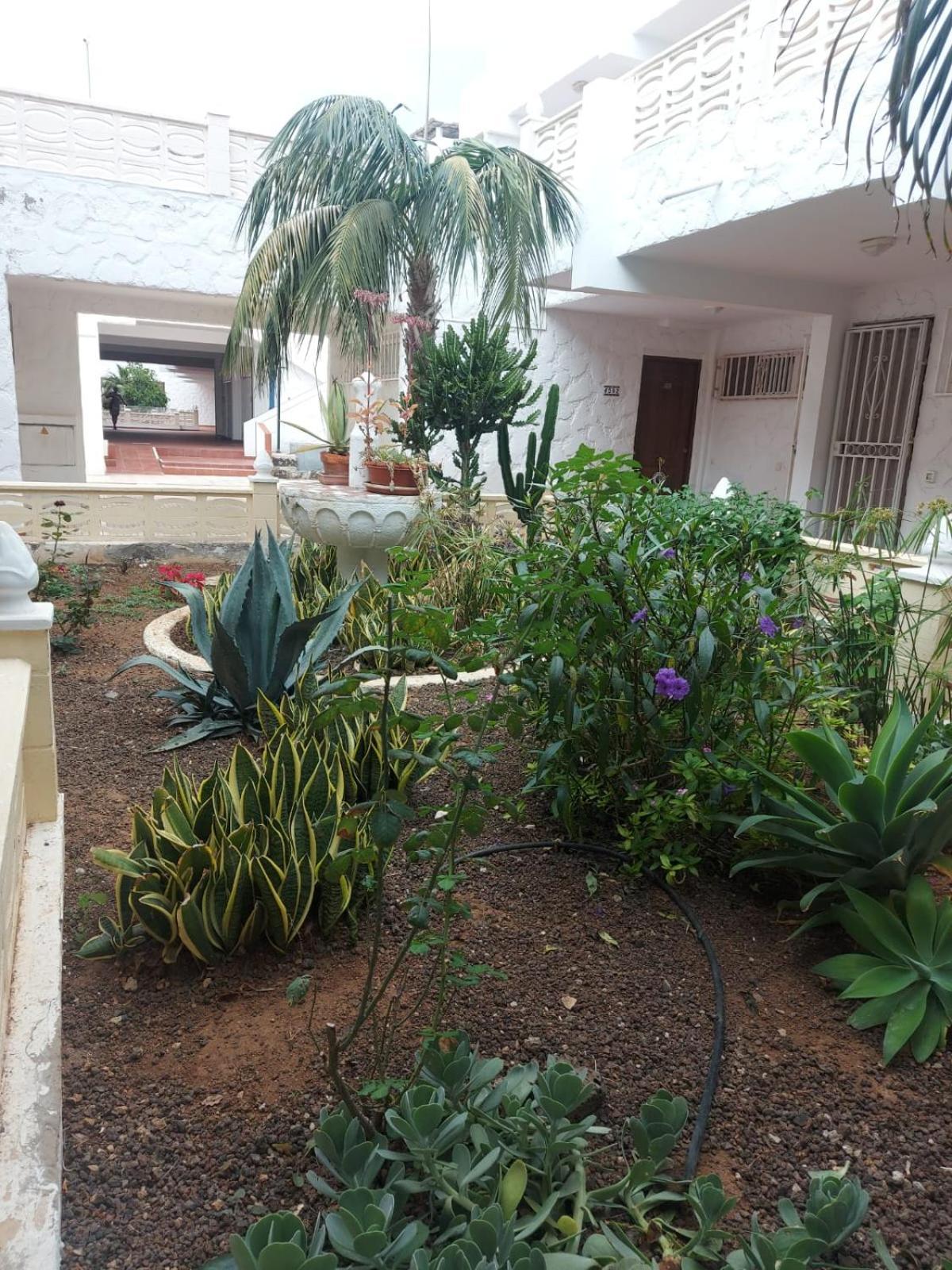 Appartamento Casa Papagayo Arona  Esterno foto
