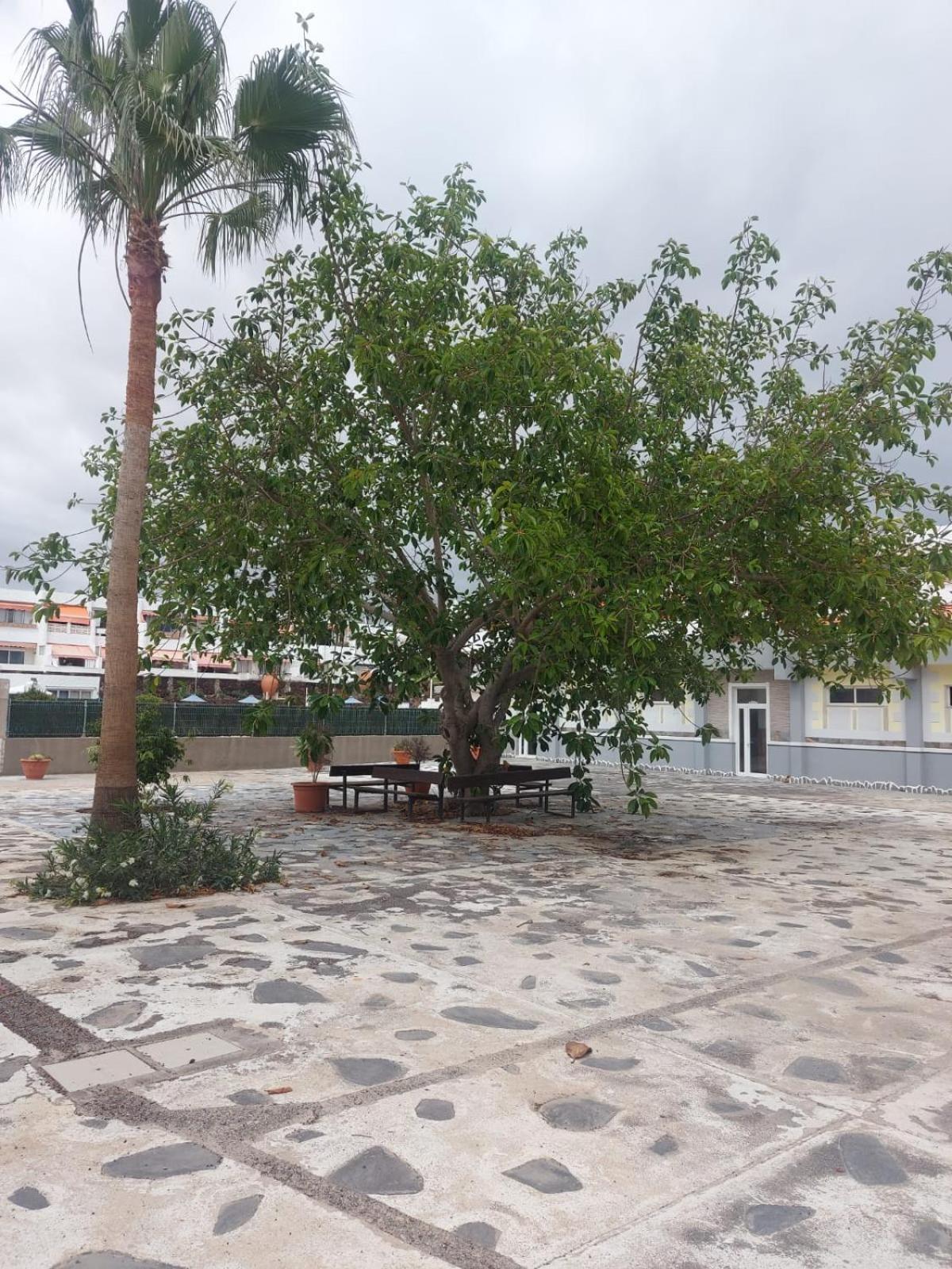 Appartamento Casa Papagayo Arona  Esterno foto